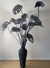 Charger l'image dans la galerie, LOUIS ALCARAZ // MONSTERA , ETERNITE