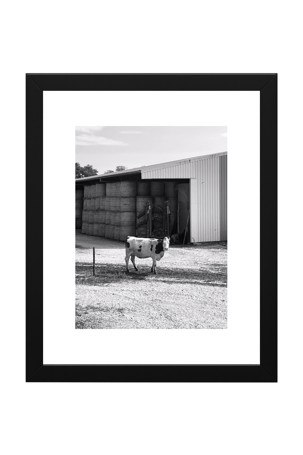 // BENJAMIN BELIN // BURGER QUEEN 1